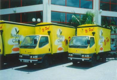 Corporate Brand Identity